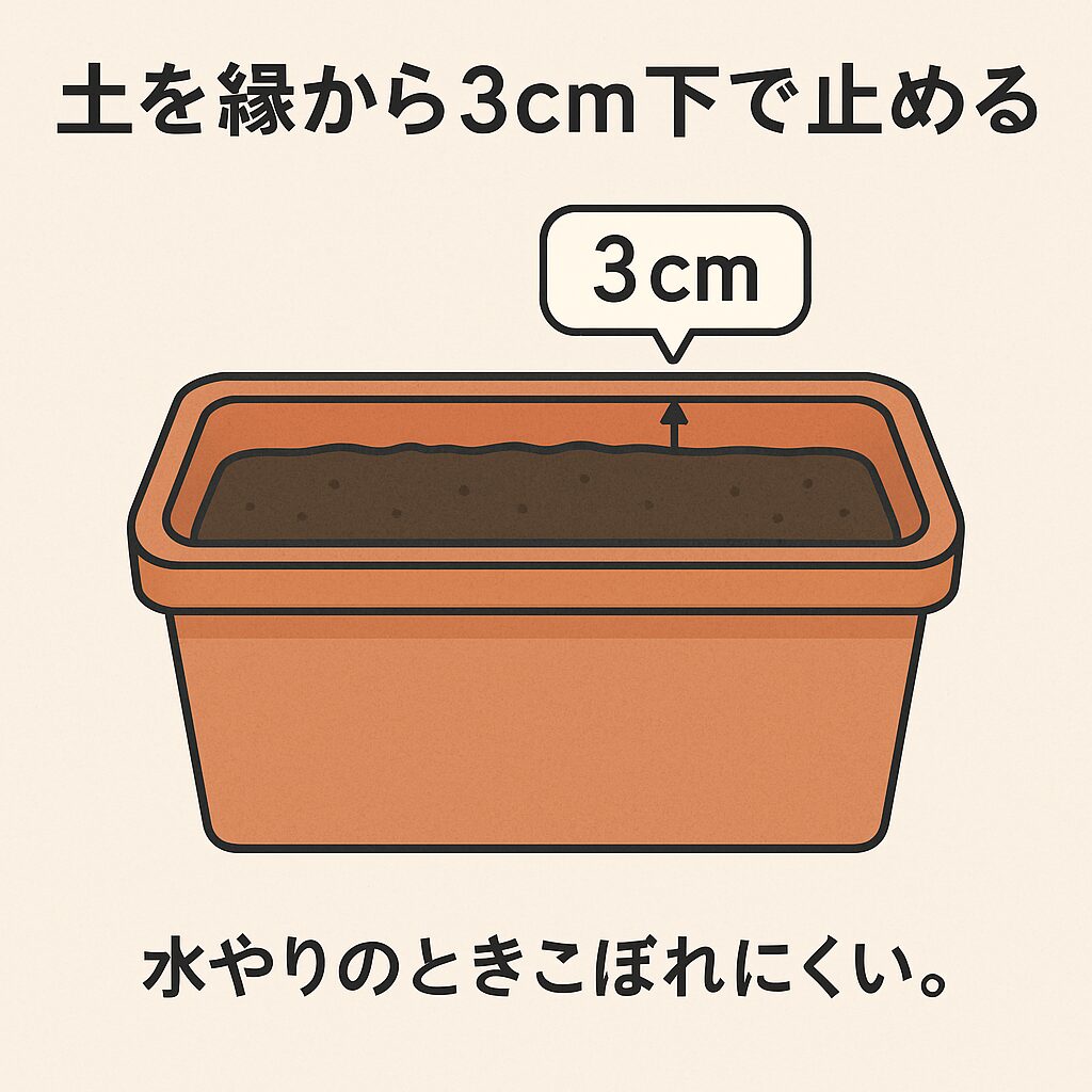 土を縁から3cm下で止める