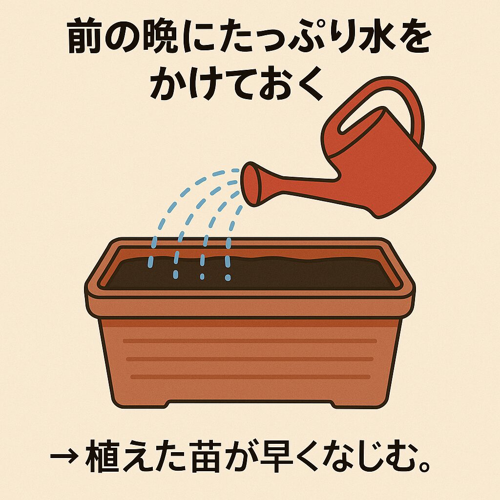 前の晩にたっぷり水をかけておく