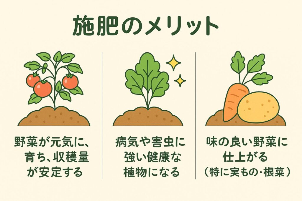 施肥は正しく行いましょう